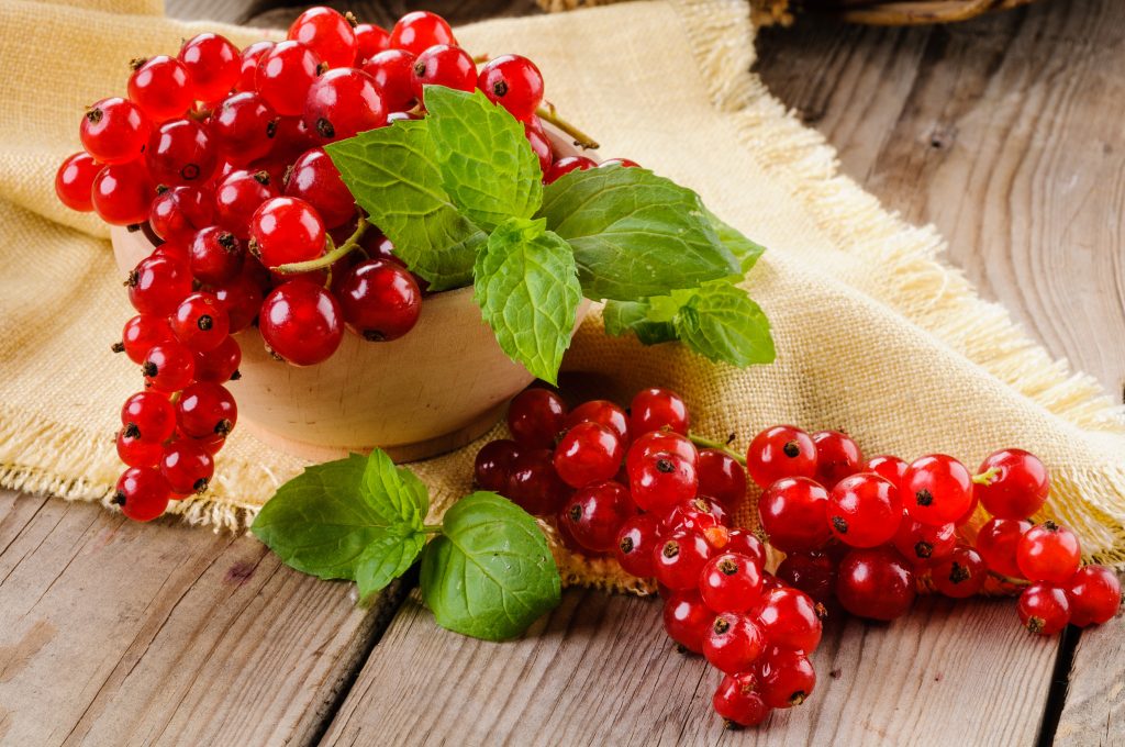 Ribes e foglie di menta